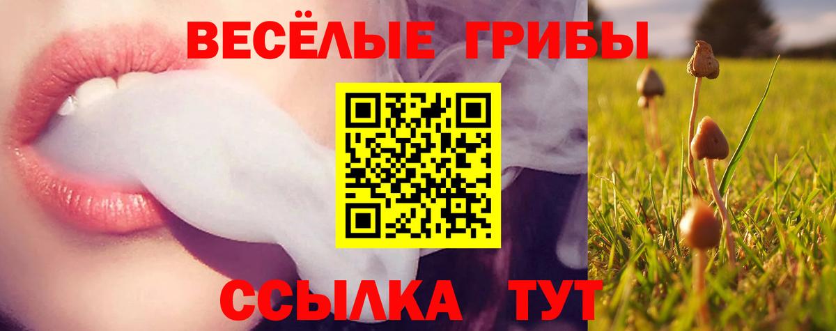 Псилоцибиновые грибы мицелий Сунжа