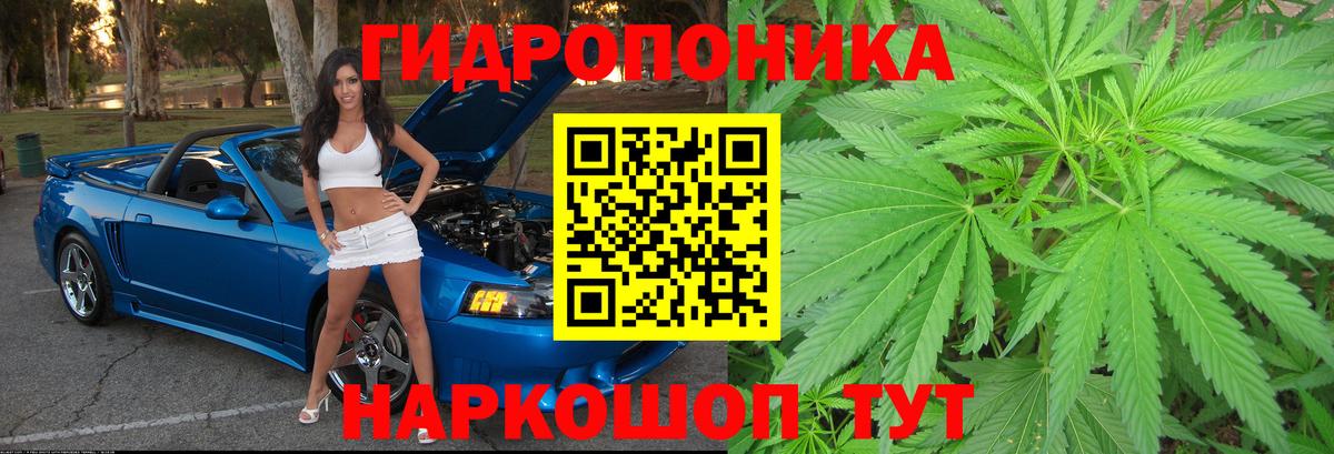 Канабис AK-47  Вход с VPN  Сунжа  Бошки марихуана планчик  Марихуана Amnesia  Бошки Шишки AK-47 